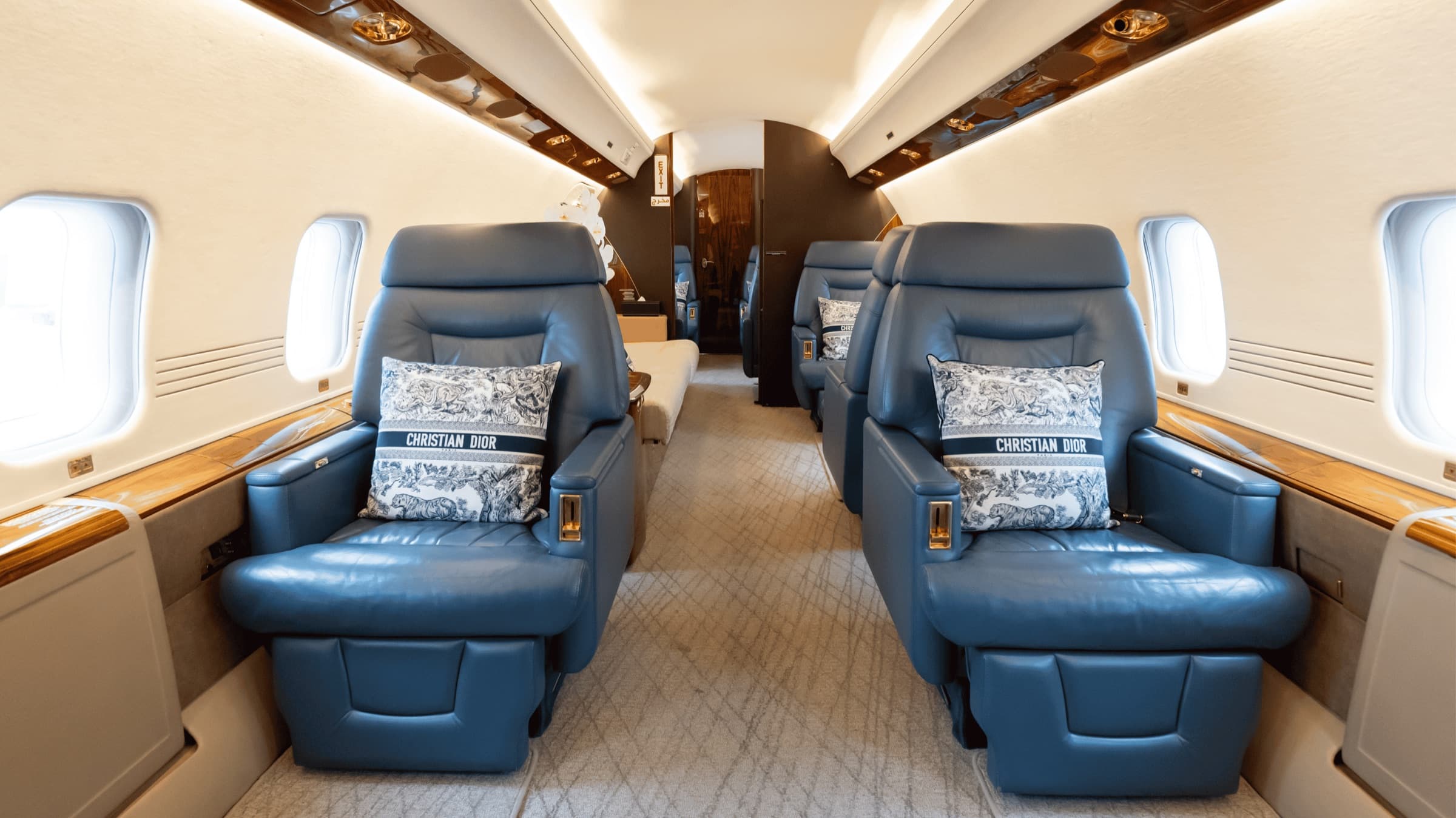 Alex Jet cabin with bespoke Christian Dior styling